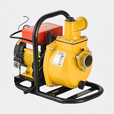 Handheld electric pump YH-S2 